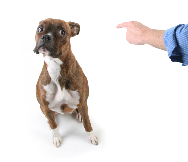 waste collection garden waste